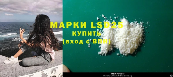 индика Абаза