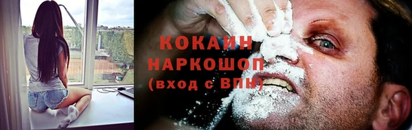 стаф Козельск
