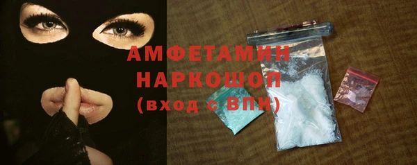 индика Абаза