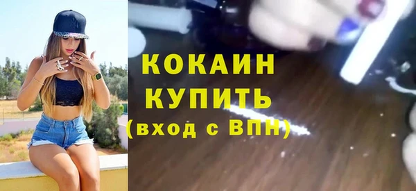 индика Абаза