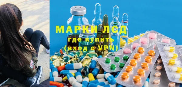индика Абаза