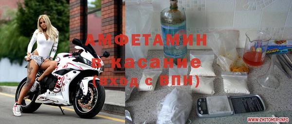индика Абаза