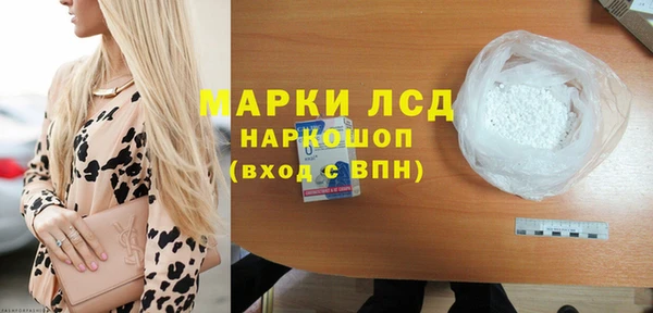 индика Абаза