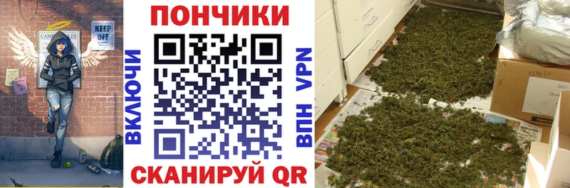 Шишки марихуана планчик  Сычёвка 